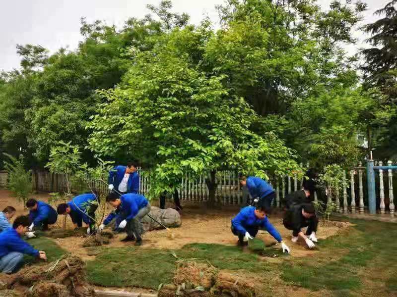 红龙扑克 - 专业在线扑克赛事运营商