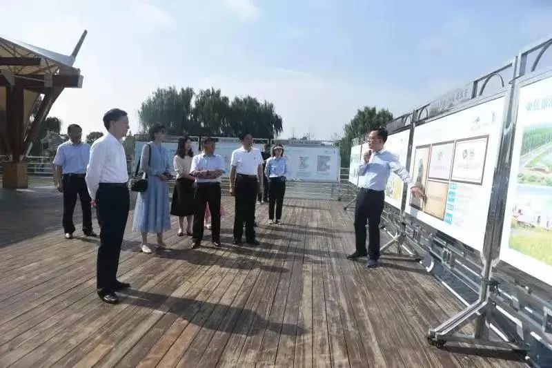 红龙扑克 - 专业在线扑克赛事运营商