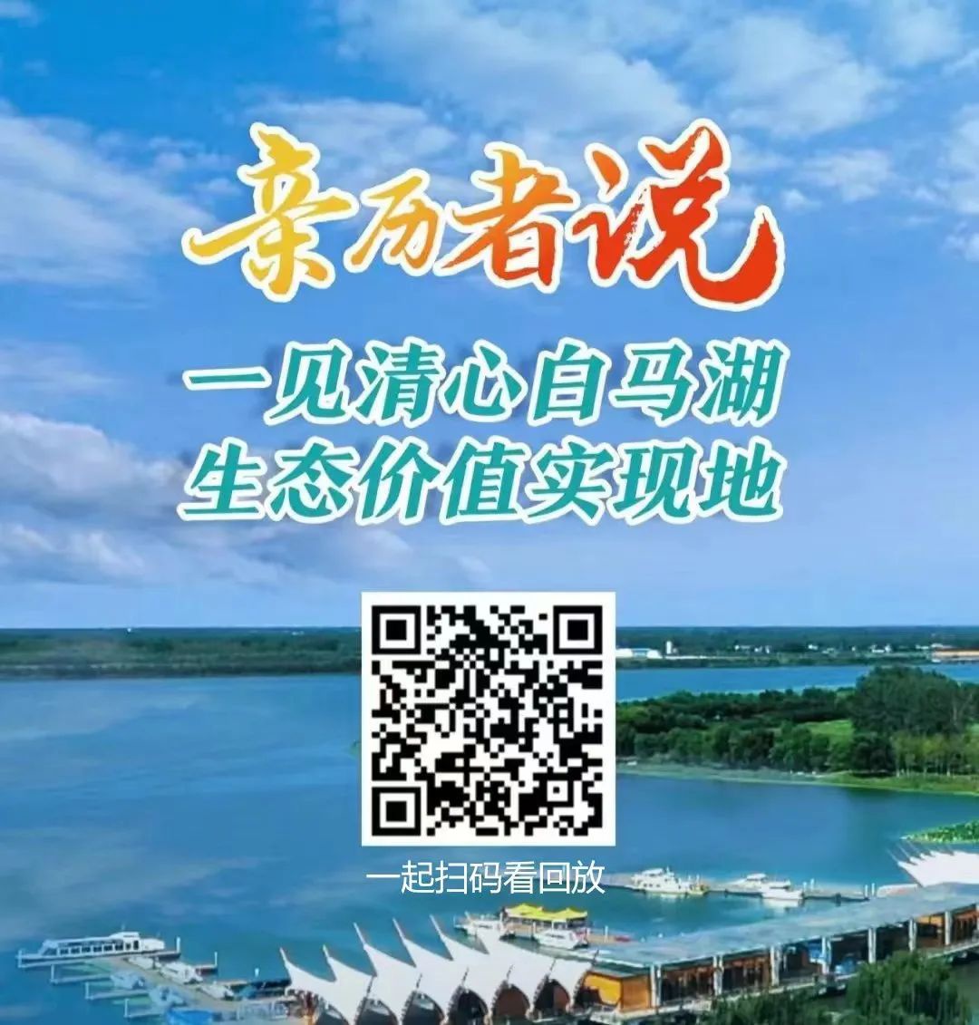 红龙扑克 - 专业在线扑克赛事运营商