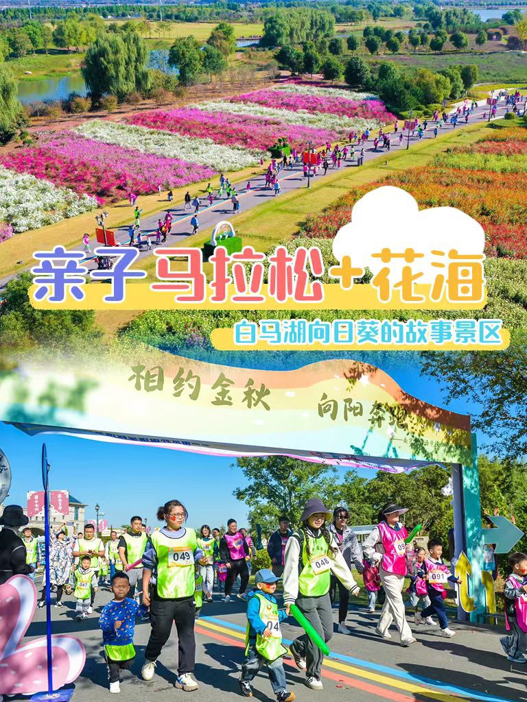 红龙扑克 - 专业在线扑克赛事运营商