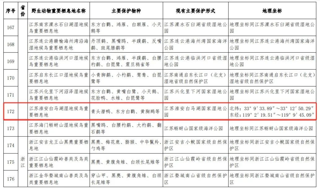 红龙扑克 - 专业在线扑克赛事运营商