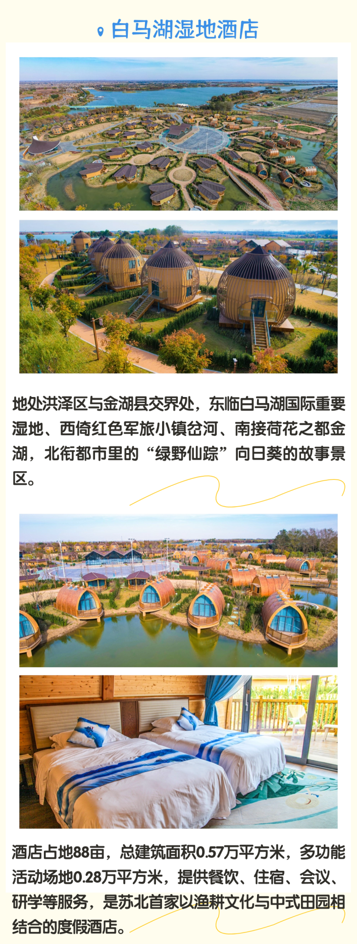 红龙扑克 - 专业在线扑克赛事运营商