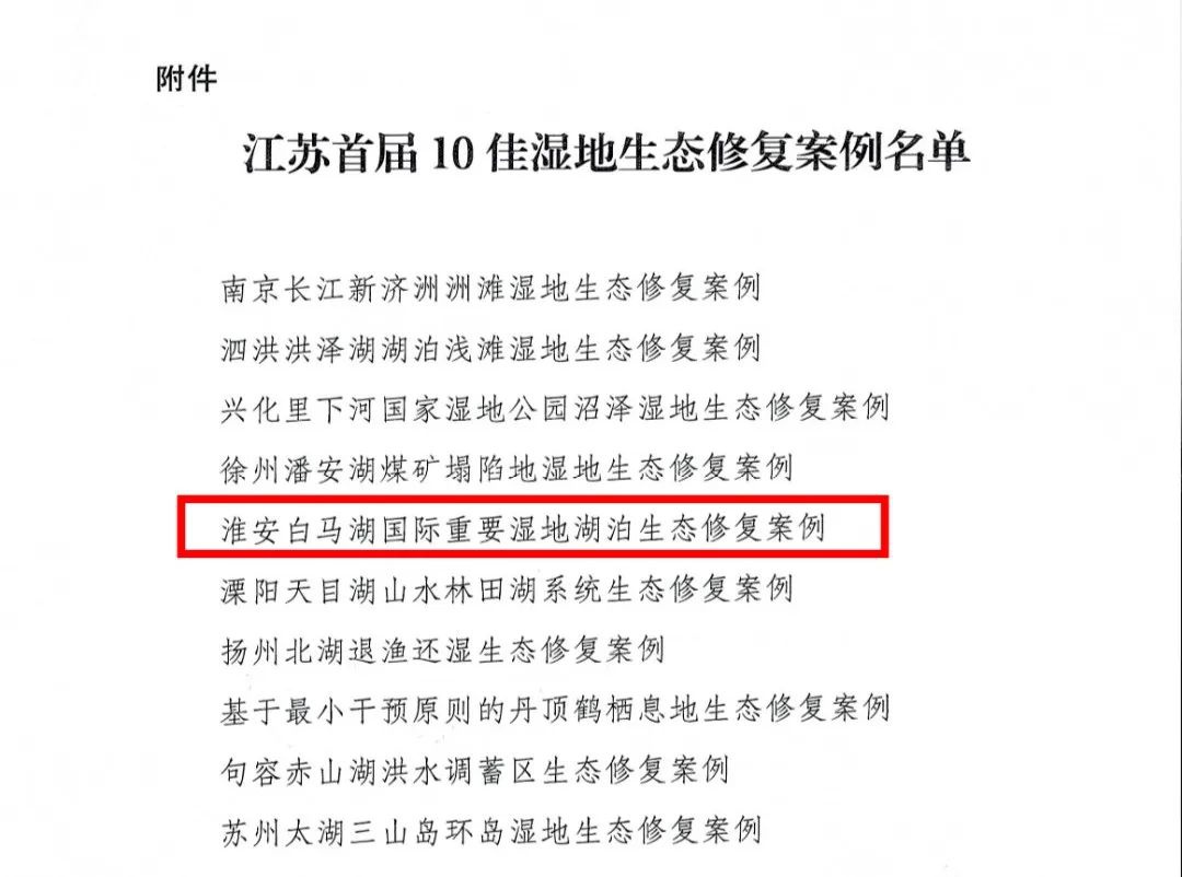 红龙扑克 - 专业在线扑克赛事运营商