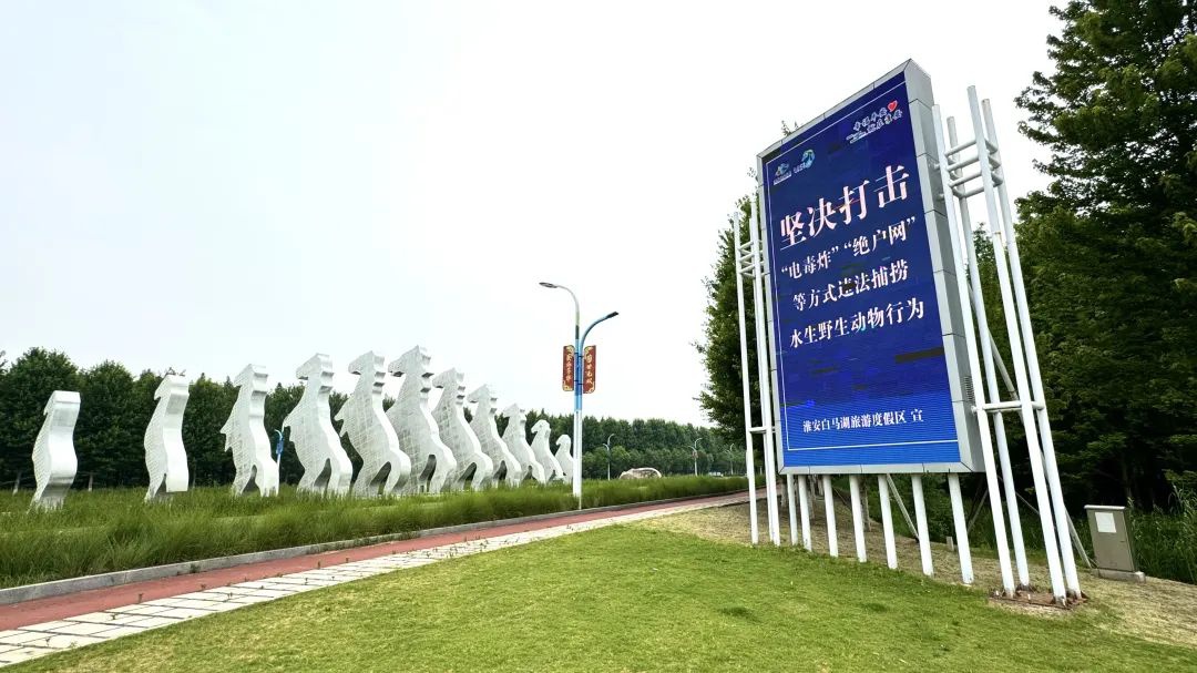 红龙扑克 - 专业在线扑克赛事运营商
