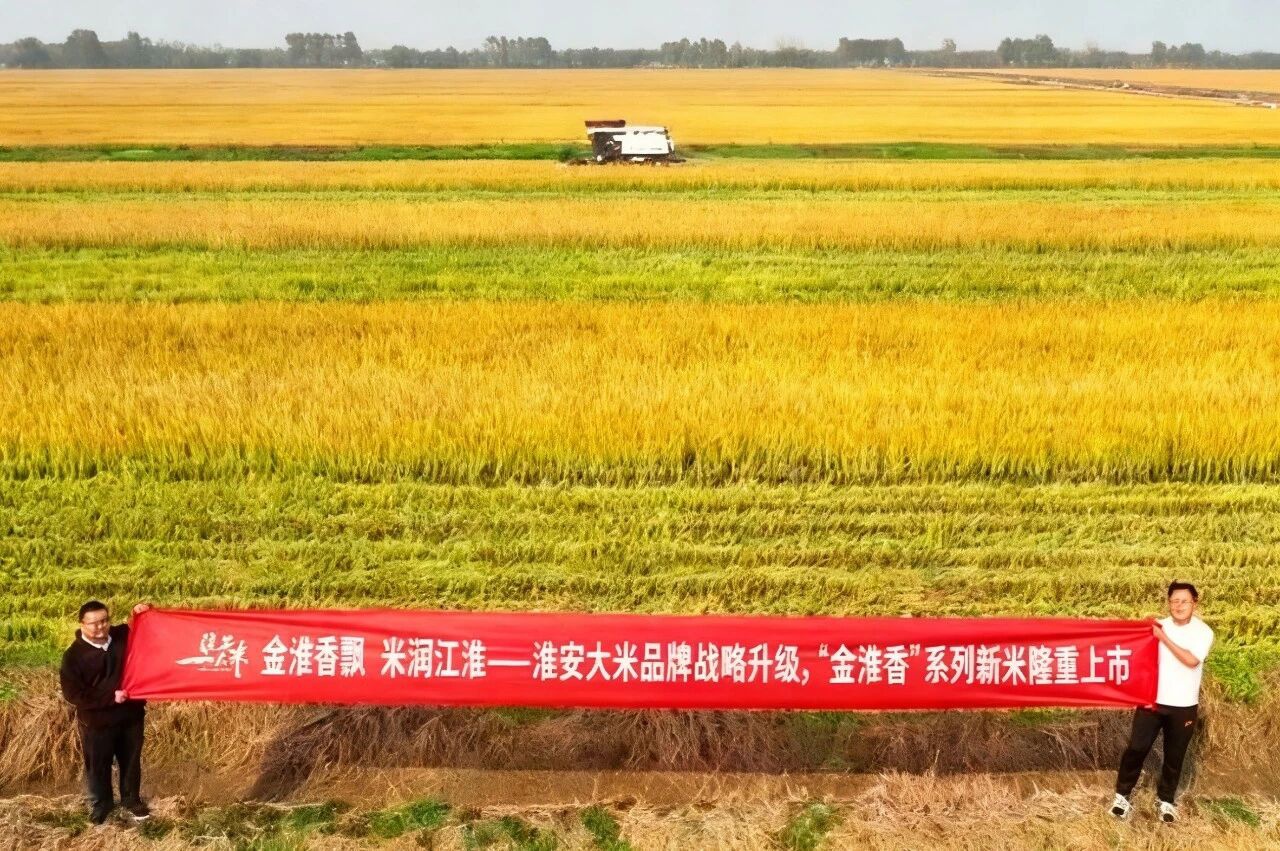 红龙扑克 - 专业在线扑克赛事运营商