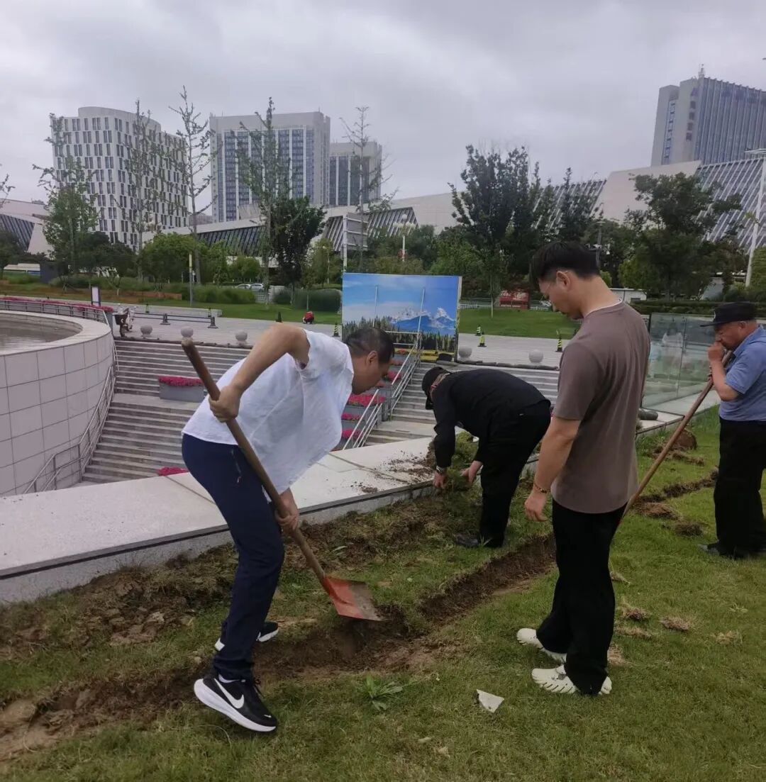 红龙扑克 - 专业在线扑克赛事运营商